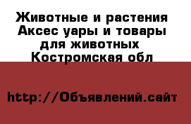 Животные и растения Аксесcуары и товары для животных. Костромская обл.